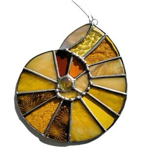 Ammonite
