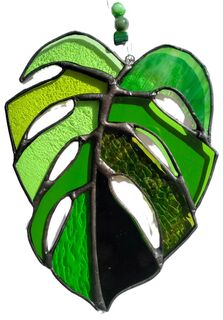 Monstera leaf