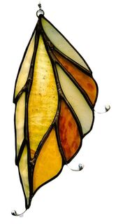 Amber fairy wing